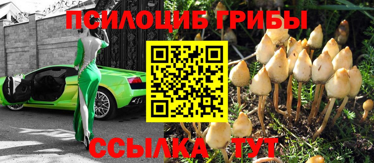 Псилоцибиновые грибы ЛСД  Вход с VPN  даркнет сайт  Кинель 