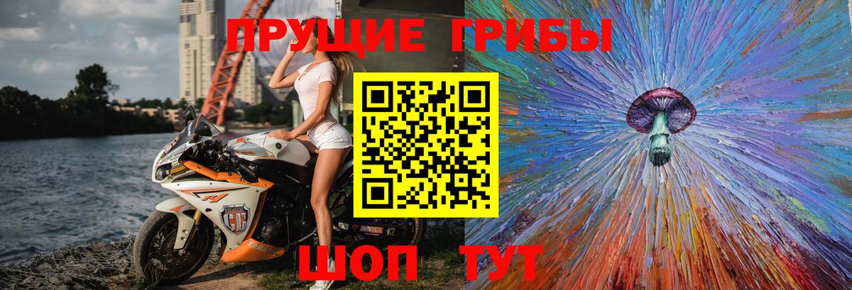 Галлюциногенные грибы Cubensis Кинель
